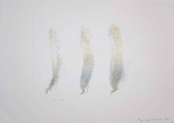 Vivian Ross-Smith, Crimp