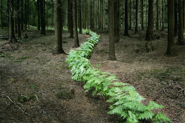 Come Together Dana Hart-Stone, Ellie Davies, Jim Westphalen, and Paulette Tavormina