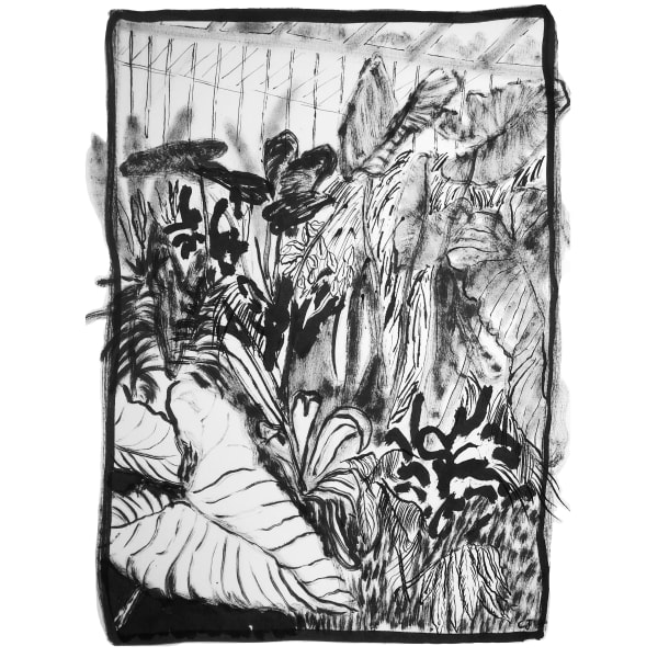 Elephant I 30X40Cm Indian Ink On Paper