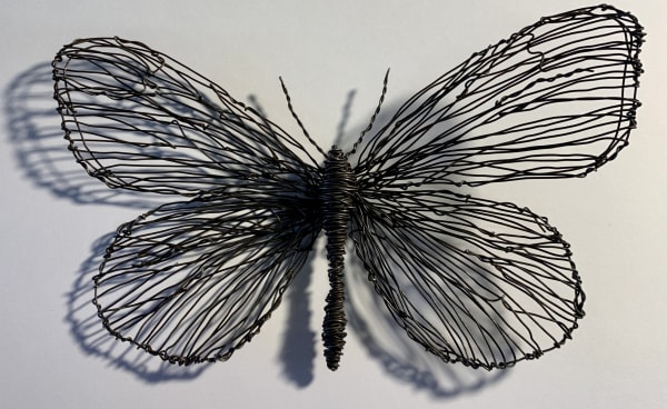 Rosiebrown Butterfly5 Copy