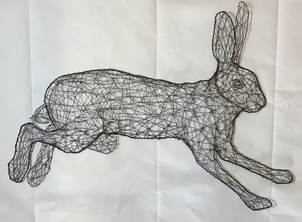 Rosiebrown Hare4