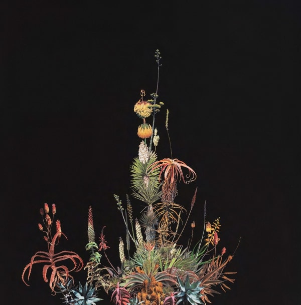 Stephen Eichhorn