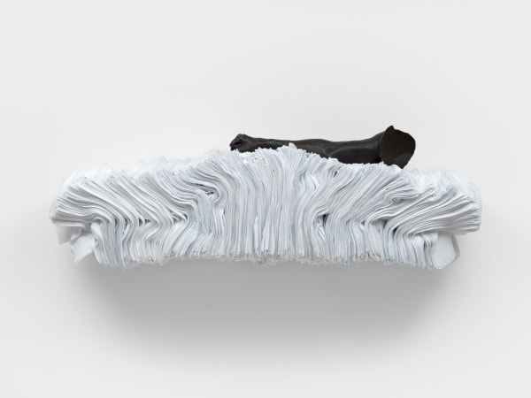 FOLDS
