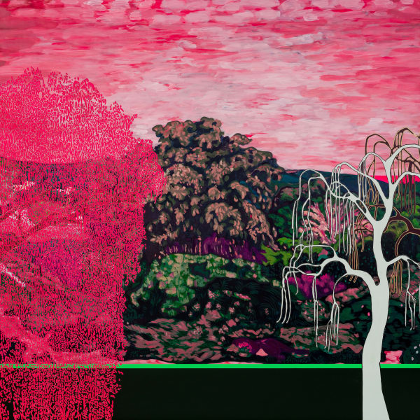 Natura Non Constristatur