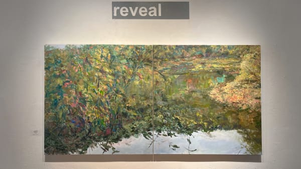 Reveal 9