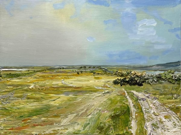 Wild: Northern California Landscapes by Jung Han Kim