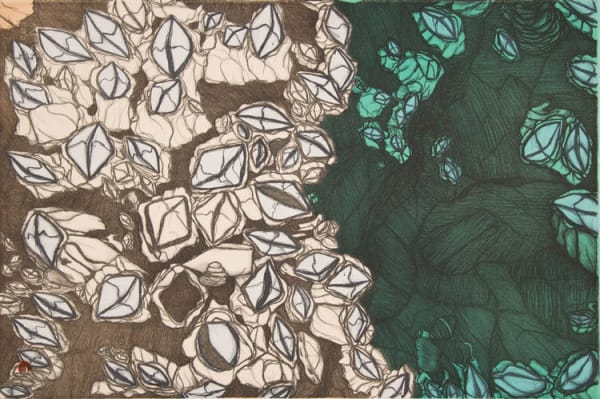 PADLOO SAMAYUALIE, Barnacles, 2018