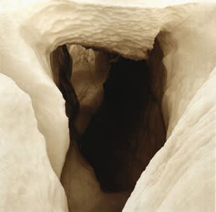 Rena Bass Forman, Greenland #6, 2007