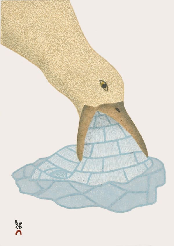 QAVAVAU MANUMIE, Icy Treat, 2022