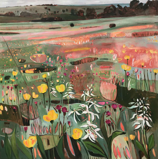 Cae Blaen Dyffryn The Last Meadow