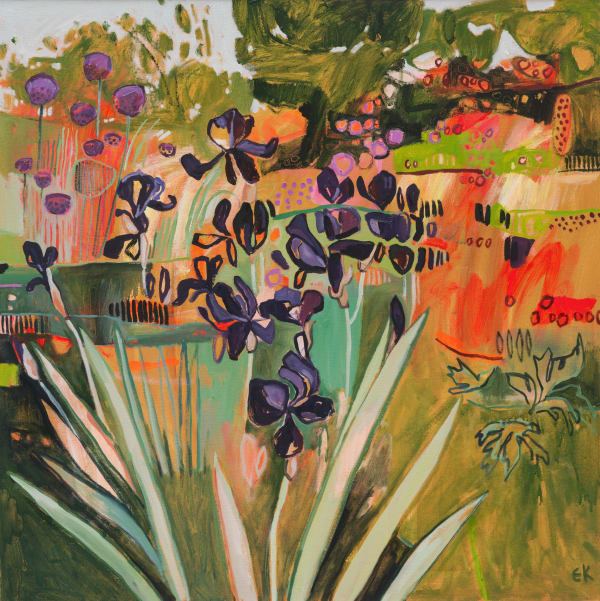 Black Swan Irises at the OBG