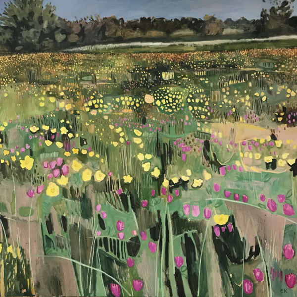 Hinksey Meadows