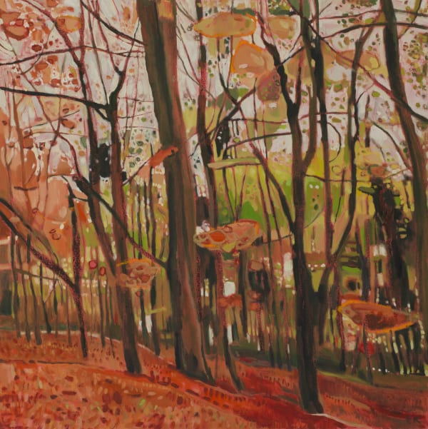 Beechwoods along the Evenlode