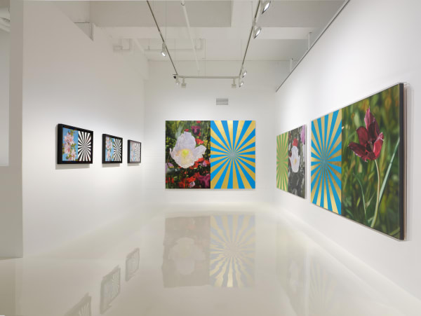 Musfata Hulusi Blossoms in Spiritual Time Installation view