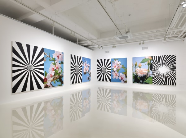 Musfata Hulusi Blossoms in Spiritual Time Installation view