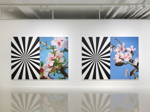 Musfata Hulusi Blossoms in Spiritual Time Installation view