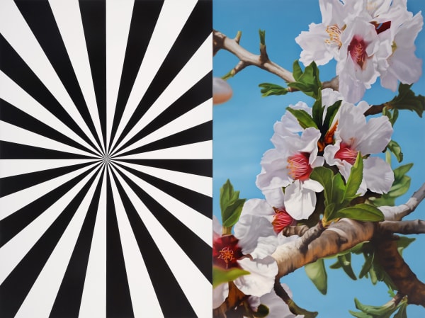 Blossoms in Spiritual Time