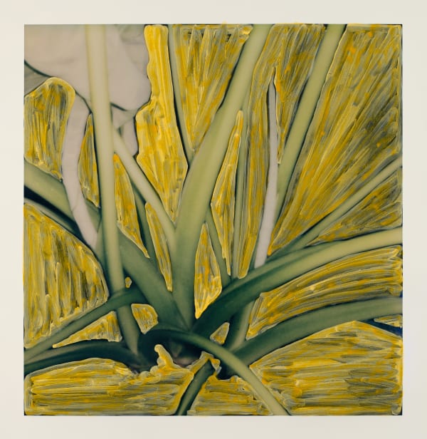 Michael De Feo Untitled (Polaroid Painting 04), 2021