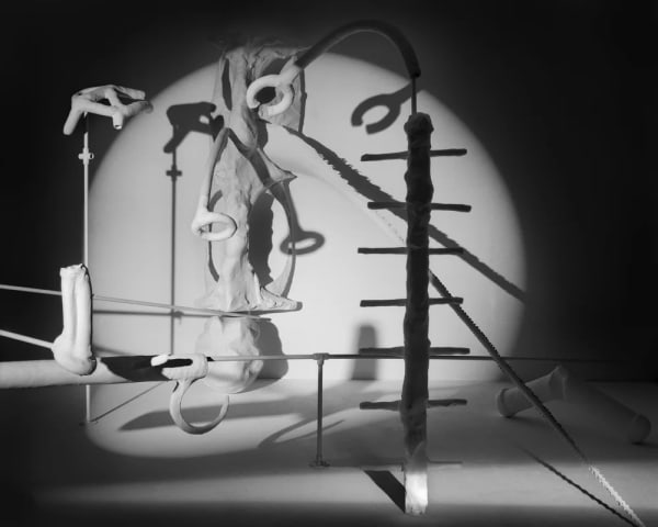 Rodrigo Valenzuela Garabato #21, 2024 Archival Inkjet Print 24 x 30 in 61 x 76.2 cm