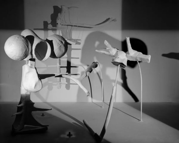 Rodrigo Valenzuela Garabato #22, 2024 Archival Inkjet Print 30 x 24 in 76.2 x 61 cm