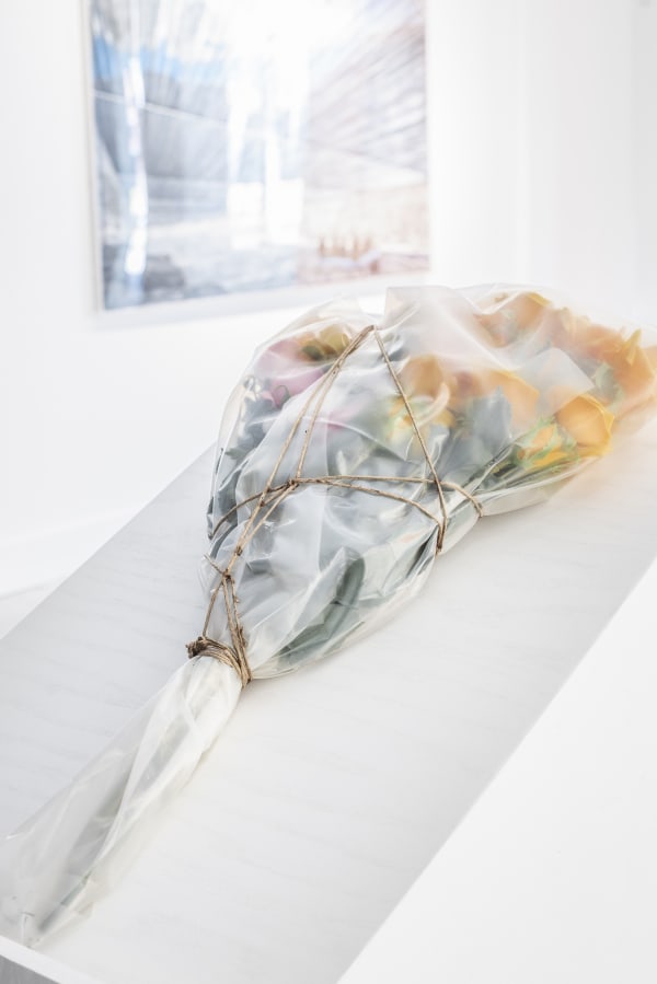 Chisto Claude 8 22 Low Res 9