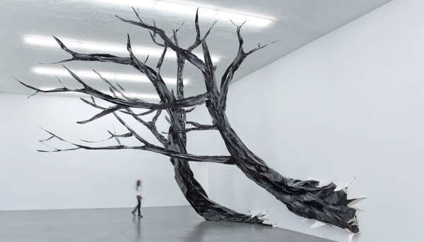 Amparo Sard