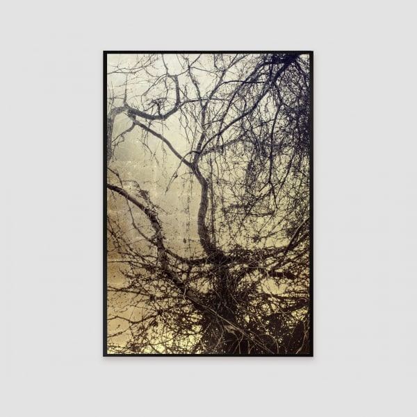 Paula Anta, NOS, 2019