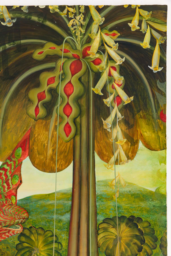 Onde Nasce o Rio , Bruno Novelli