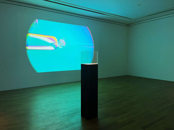 Louisa Clement Becoming Lost as winner of Bonn Art Award Kunst Museum Bonn, Bonn, Germany 2024