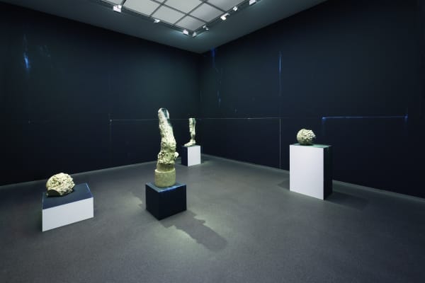 Gert & Uwe Tobias - Grisaille Pinakothek der Moderne, München 2016