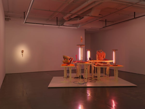 Grim Tales Bruns Installation 2