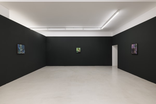 Hang a Crocodile outside for the Unbelievers Alessandro Fogo