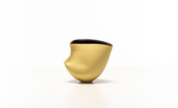 サラ・フリン, Spine Camber Vessel, 2019