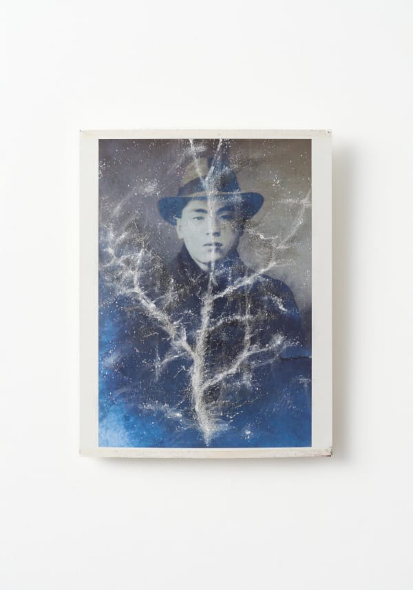 Untitled (Family Tree 04), 2024 ink jet print, scratched by needle, eraser and sand paper H27.8 × W21.5 cm H10.9 × W8.4 in. Yuki Tawada