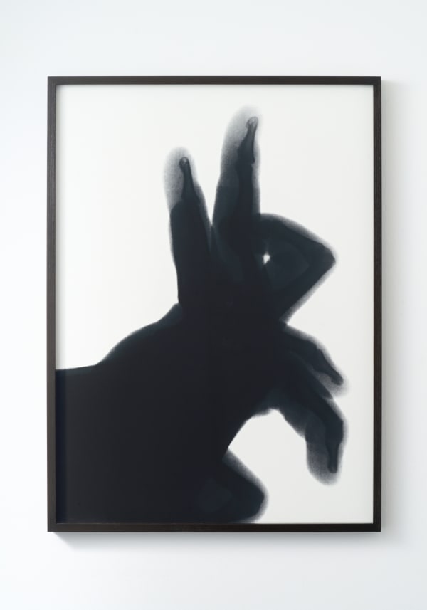 Rabbit, Shadowgrams (x-Ray), 1993 Silver LE print; Archival inkjet print. Edition : AP1/3 H75 × W65 cm H29.5 × W25.5 in. Vik Muniz