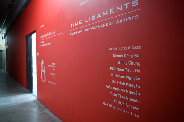 Timeligaments Installed P 001