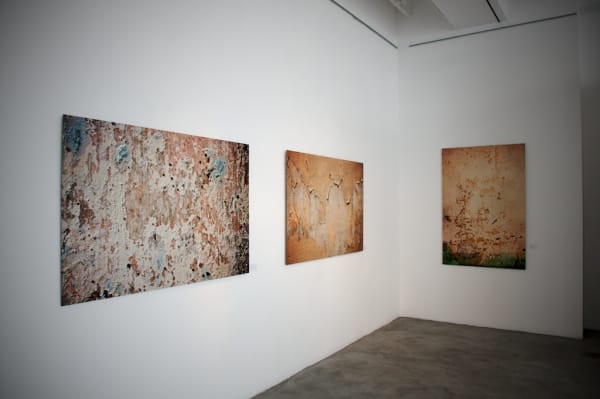 Timeligaments Installed P 017