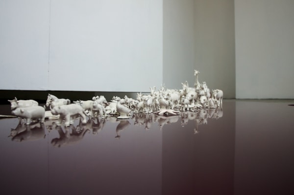 Timeligaments Installed P 021