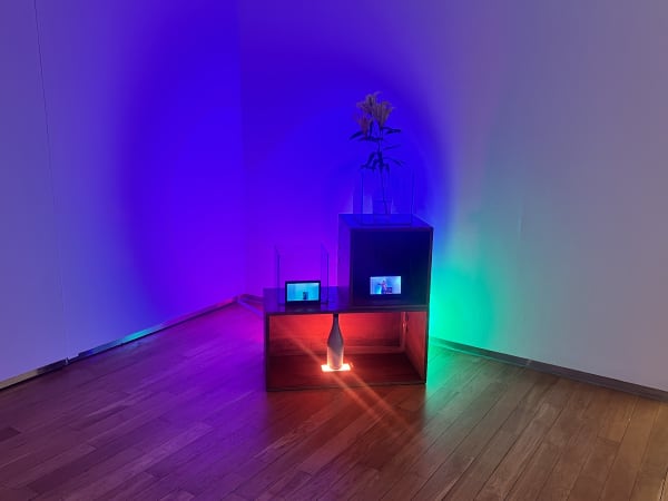 Jing Pang, Off the ground & The internal wave and the Lily, 2022, A transparent glass, A sky blue glass, A rectangular wood box, A square wood box , 2 square glass box, 4 digital light pads, Cable and wires , 2 x videos, 2 x monitors