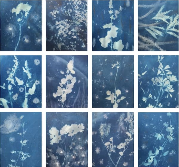 3 Questions Digital Series with Christine Nguyen