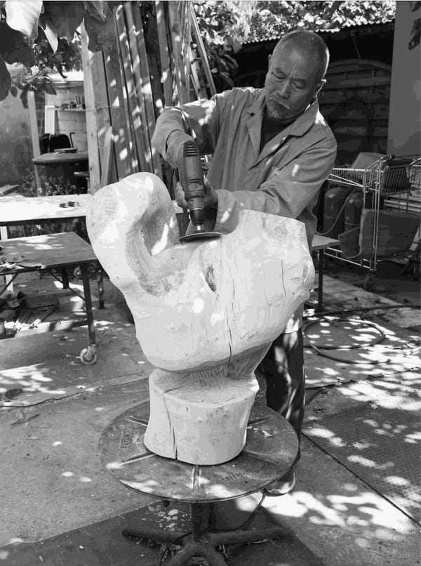 Wang Keping Documentary, Birds