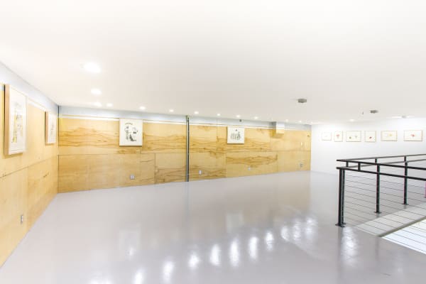 Installation view of NH DePass' exhibition at Sibyl Gallery titled Squiggle. The exhibition consists of roughly 40 framed drawings and one sculpture.