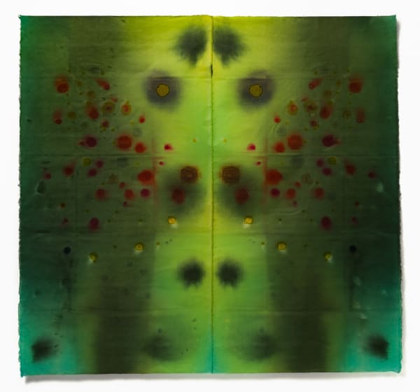 Susan Goethel Campbell Soundings with Bioluminescence, 2025 Procion dyes, paper cuts on double-layered Japanese paper 55 x 59 inches