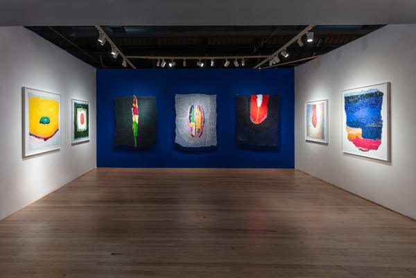 The Art Show | Neha Vedpathak