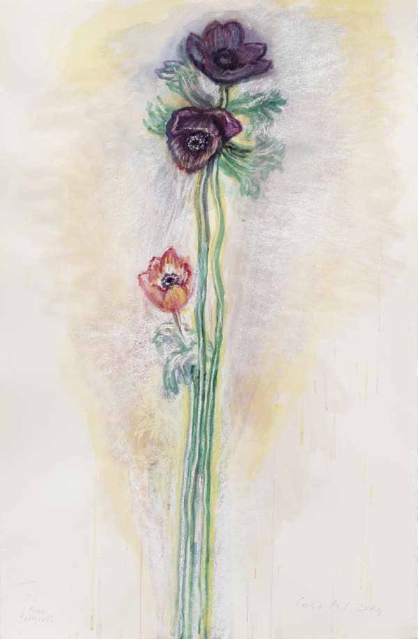 Cp524 Three Anemones 2024 Edge