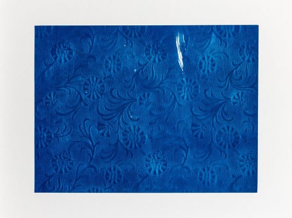 Farah Khelil, Photosynthese #9, 2023