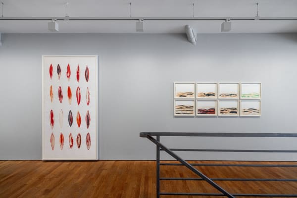 D'eaux, de graines et de particules lumineuses Fakhri El Ghezal