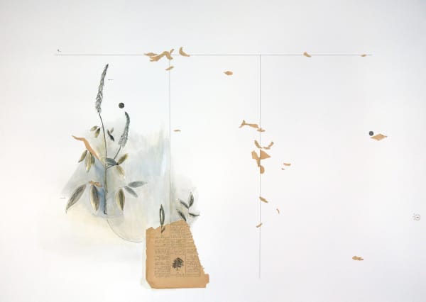 Farah Khelil, Encyclopédisme #8, 2016-2023