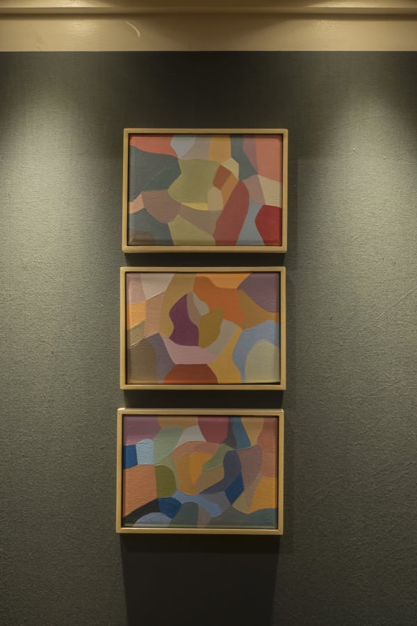 20240808 Colores Subjetivos 29