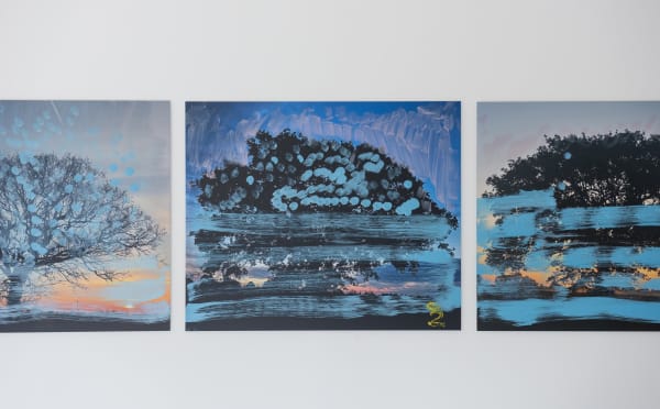 First Light | Magnus Hammick